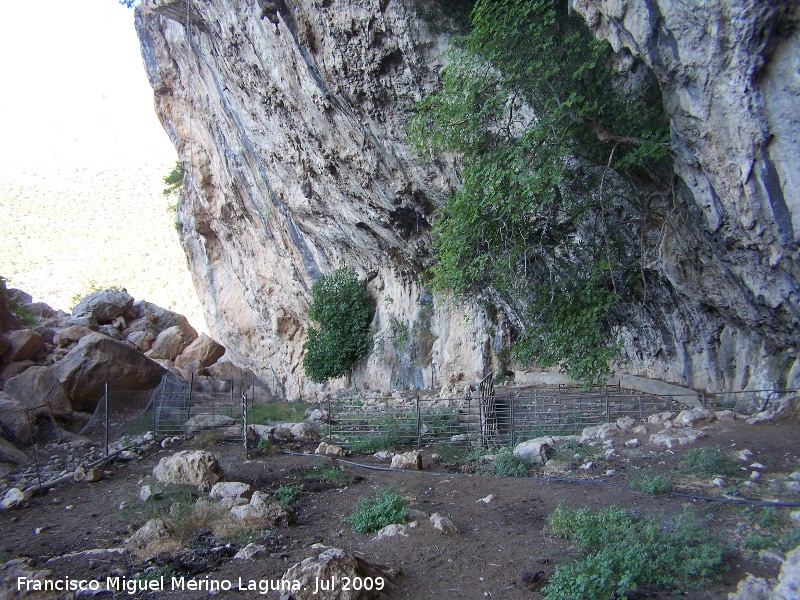 El Covarr�n - El Covarr�n. 