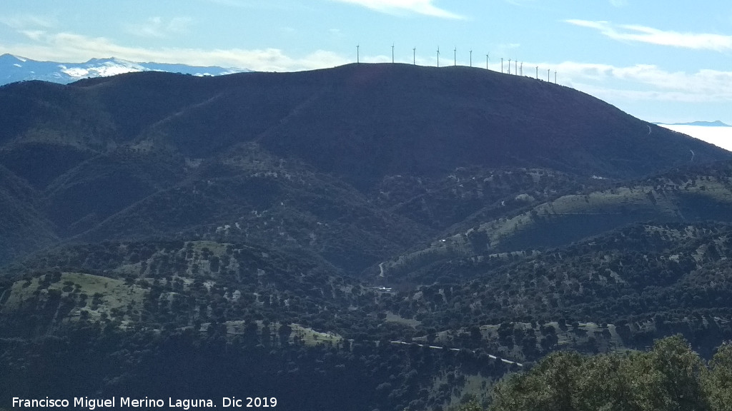 Sierra del Trigo - Sierra del Trigo. Desde las Lomas de Carboneros