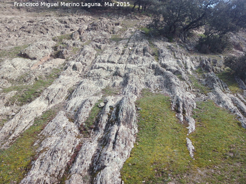 Estratos pizarrosos del Cordel de V�llora - Estratos pizarrosos del Cordel de V�llora. 