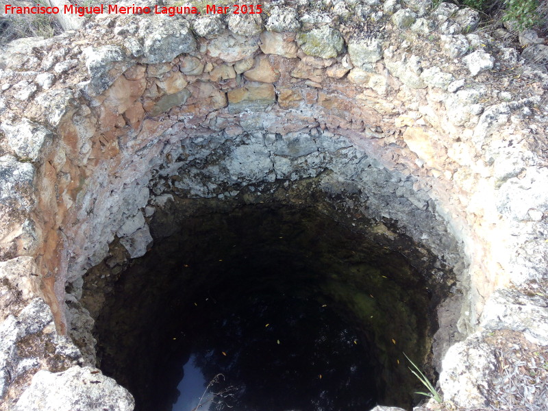 Pozo del Mollejn - Pozo del Mollejn. Interior