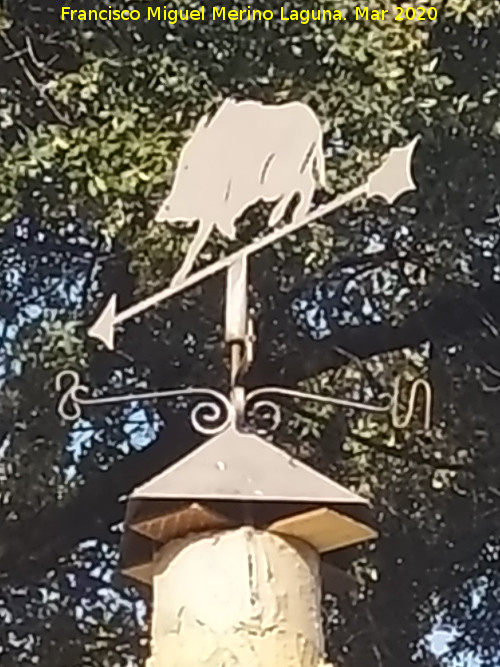 Veleta - Veleta. Caracol Fegillenperez - Rus