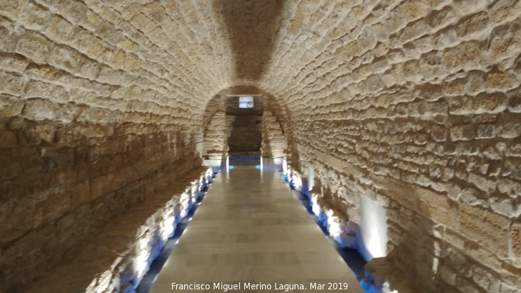 P�sito - P�sito. 