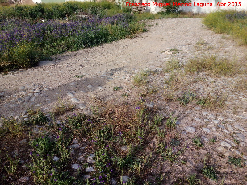 Era de Gra�ena - Era de Gra�ena. 