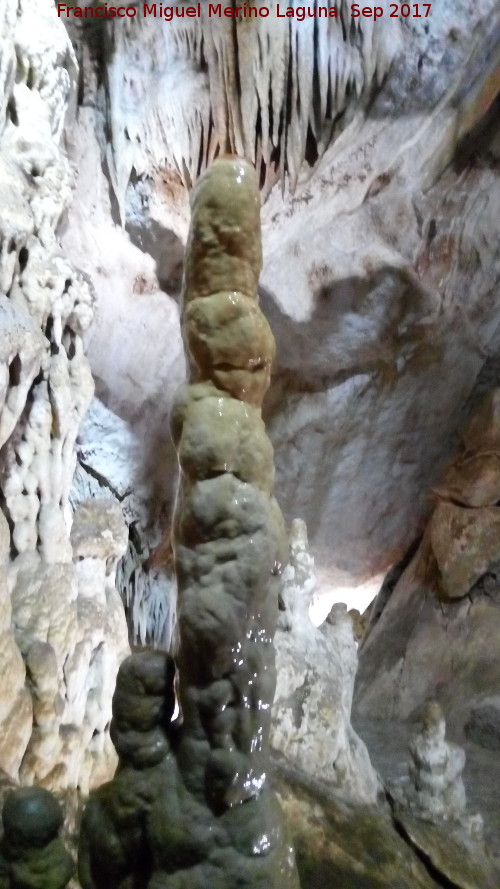 Cueva de los Murci�lagos - Cueva de los Murci�lagos. Estalacmita