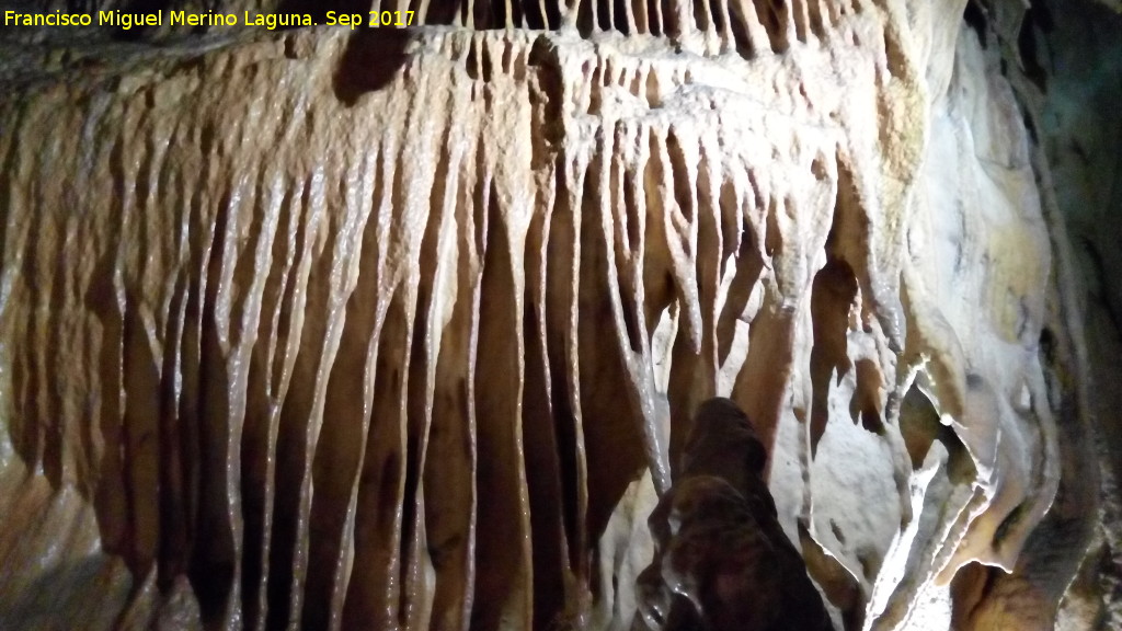 Cueva de los Murci�lagos - Cueva de los Murci�lagos. 