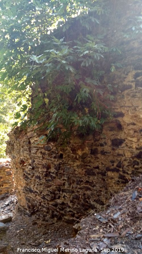 Molino del Bat�n - Molino del Bat�n. 