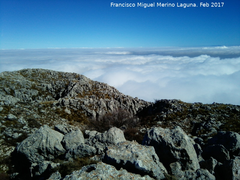 Sima del Aznait�n de Albanchez - Sima del Aznait�n de Albanchez. 