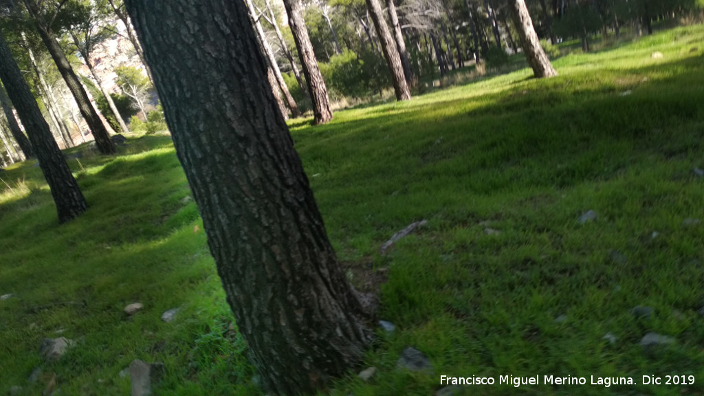 Palacio Musulm�n de Santa Catalina - Palacio Musulm�n de Santa Catalina. Zona o meseta del palacio