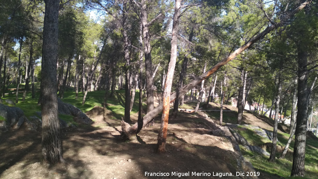 Palacio Musulm�n de Santa Catalina - Palacio Musulm�n de Santa Catalina. Zona del palacio