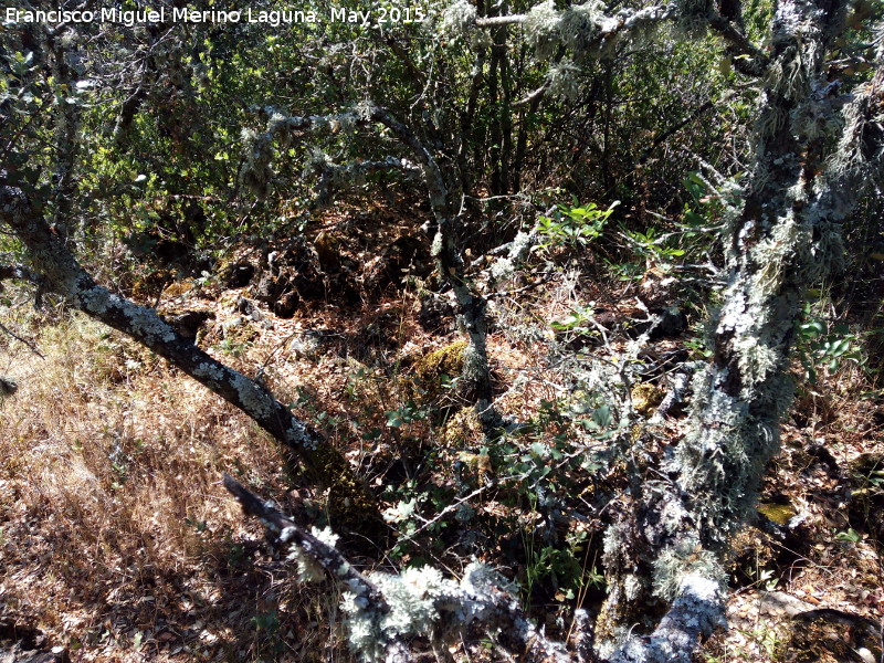 Yacimiento de Cabeza Alta - Yacimiento de Cabeza Alta. Construcci�n circular