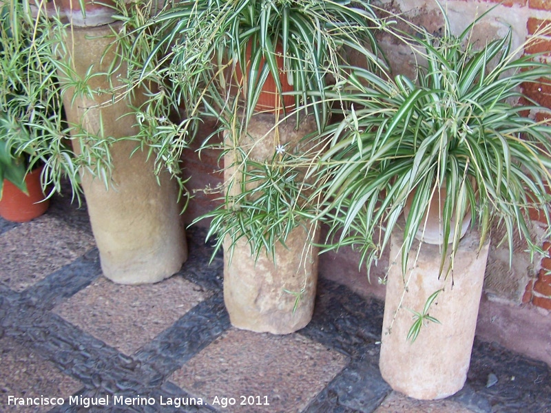 Iglesia de Santa Mar�a del Collado - Iglesia de Santa Mar�a del Collado. Columnas