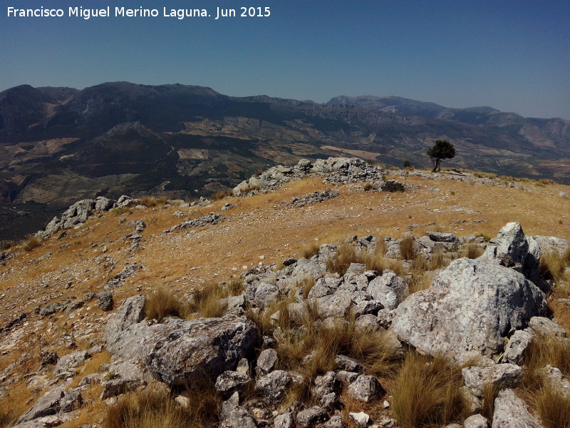 Torre Pedregosa - Torre Pedregosa. Restos de la fortificaci�n