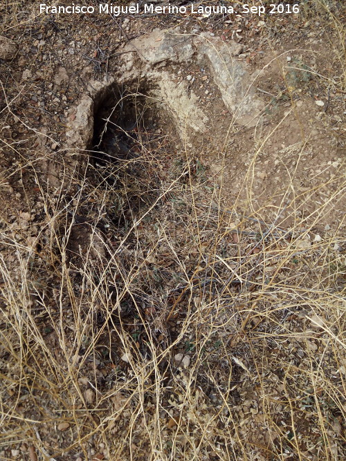 Necr�polis de C�llar - Necr�polis de C�llar. Tumba con rebaje para losa de cubrici�n