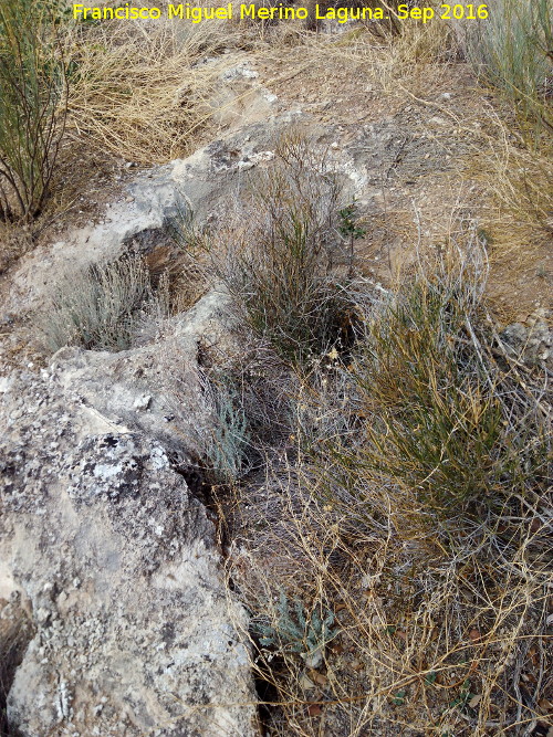 Necr�polis de C�llar - Necr�polis de C�llar. Tumbas