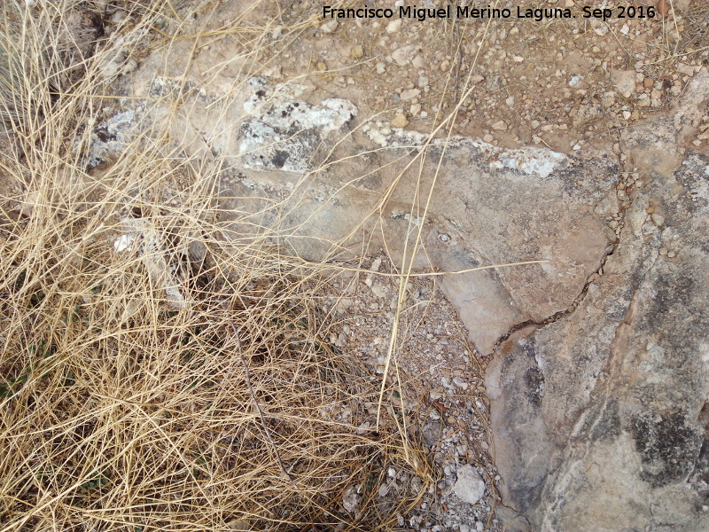 Necr�polis de C�llar - Necr�polis de C�llar. Tumba