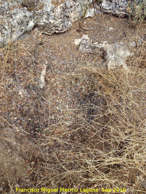 Necr�polis de C�llar - Necr�polis de C�llar. Tumba