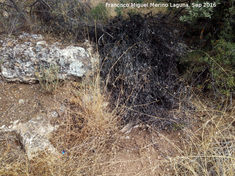 Necr�polis de C�llar - Necr�polis de C�llar. Tumba