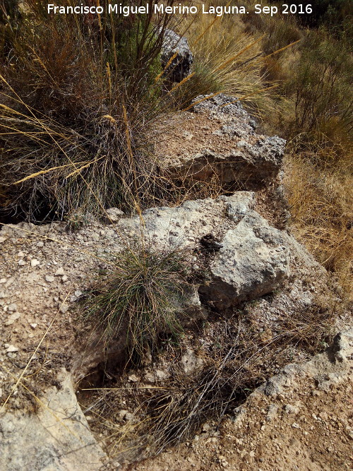 Necr�polis de C�llar - Necr�polis de C�llar. Tumbas