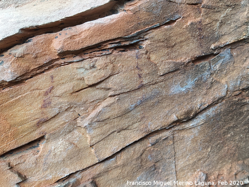 Pinturas rupestres del Cerro de la Caldera - Pinturas rupestres del Cerro de la Caldera. Barras finas