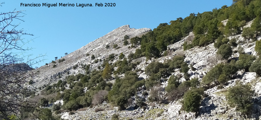 Aguil�n del Loco - Aguil�n del Loco. Desde el Camino del Poyo de las Palomas