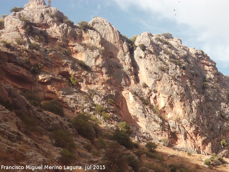 Pinturas rupestres del Abrigo de los Ca�ones III - Pinturas rupestres del Abrigo de los Ca�ones III. Vista de la zona donde se encuentra el abrigo