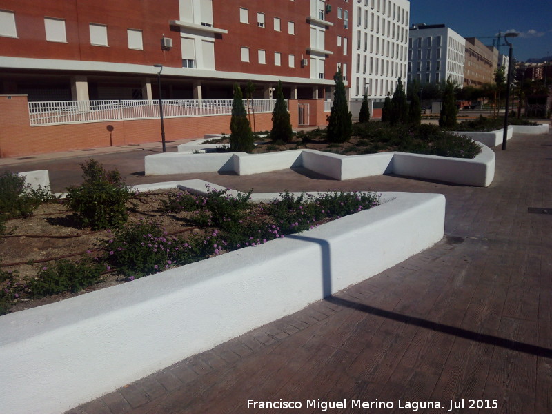 Jard�n del Lagarto de Ja�n - Jard�n del Lagarto de Ja�n. Lagarto partido