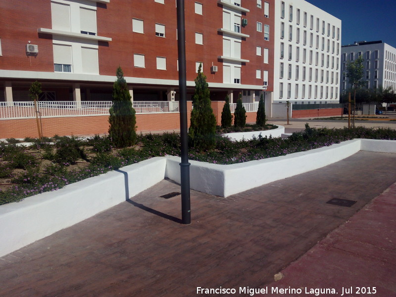 Jard�n del Lagarto de Ja�n - Jard�n del Lagarto de Ja�n. Codo del lagarto