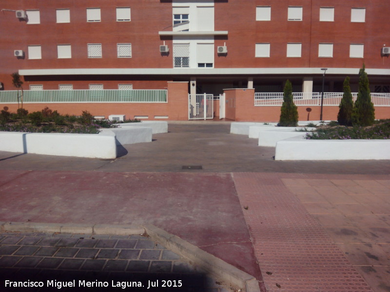 Jard�n del Lagarto de Ja�n - Jard�n del Lagarto de Ja�n. Lagarto partido