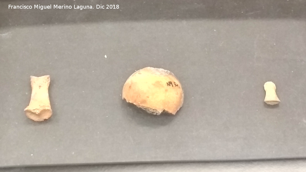 Cueva del Portillo - Cueva del Portillo. Restos humanos. PaleoM�gina