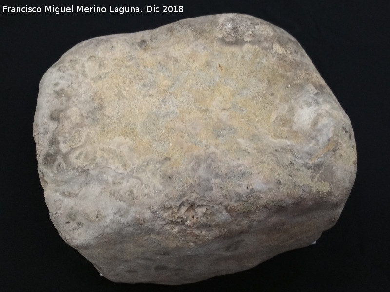 Cueva del Portillo - Cueva del Portillo. Yunque. Paleom�gina