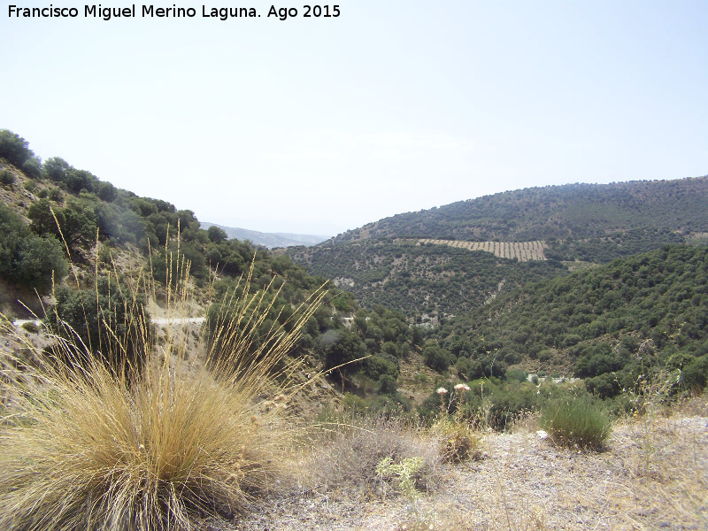 Cordel de Ja�n - Cordel de Ja�n. Al fondo el Puerto del Escribano