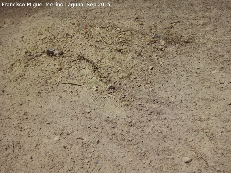 Abrigo Neandertal de la Serrezuela - Abrigo Neandertal de la Serrezuela. Zona de la excavaci�n arqueol�gica