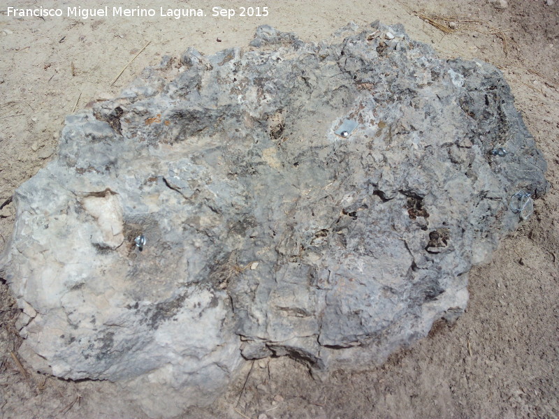 Abrigo Neandertal de la Serrezuela - Abrigo Neandertal de la Serrezuela. Puntos de anclaje para la excavaci�n arqueol�gica