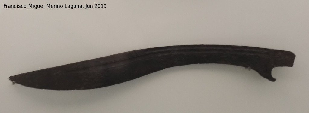 Falcata - Falcata. La Pedriza de Peascal - Granada. Museo Arqueolgico de Granada