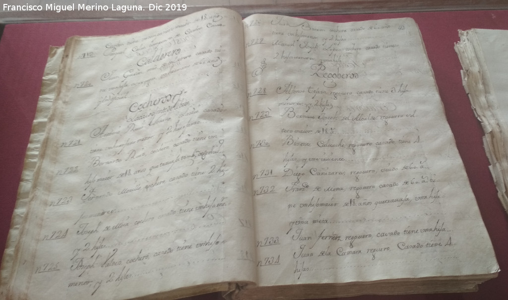 Archivo Hist�rico Provincial - Archivo Hist�rico Provincial. Libro de relaciones de legos del Catastro del Marqu�s de la Ensenada. 1753