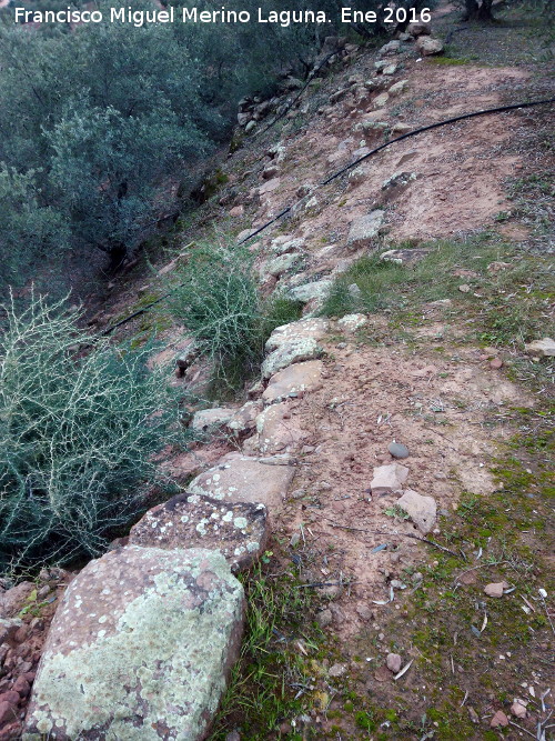 Poblado fortificado del Guadal�n - Poblado fortificado del Guadal�n. L�nea de muralla