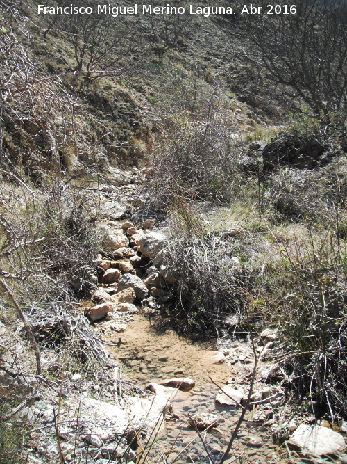 R�o Albanchez - R�o Albanchez. 