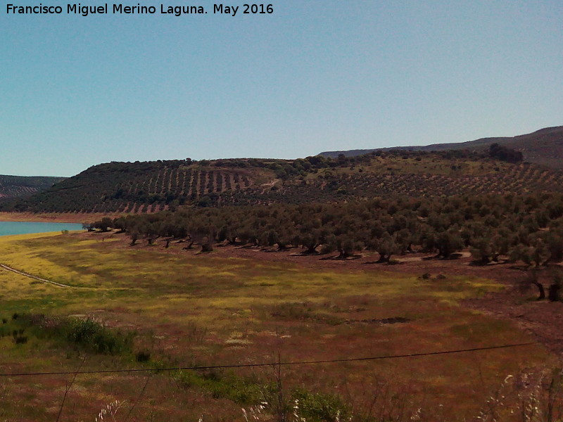 Mirabueno - Mirabueno. Desde la Cerca de L�zaro