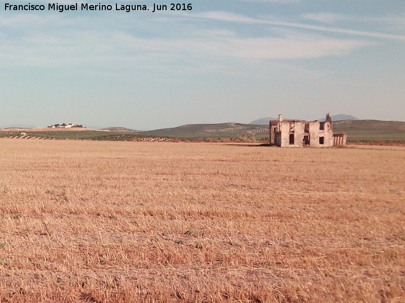 Cortijo de Alc�zar - Cortijo de Alc�zar. Al fondo a la izquierta Torre de Alc�zar