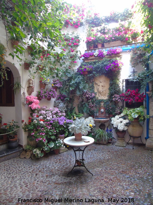 Casa de la Calle San Juan de Palomares n� 8 - Casa de la Calle San Juan de Palomares n� 8. Patio