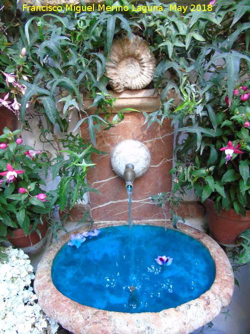 Casa de la Calle San Juan de Palomares n� 8 - Casa de la Calle San Juan de Palomares n� 8. Fuente con amonites