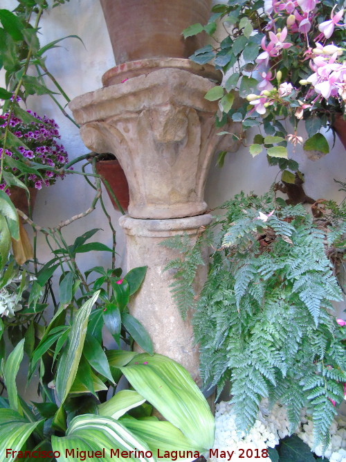 Casa de la Calle San Juan de Palomares n� 8 - Casa de la Calle San Juan de Palomares n� 8. Capitel