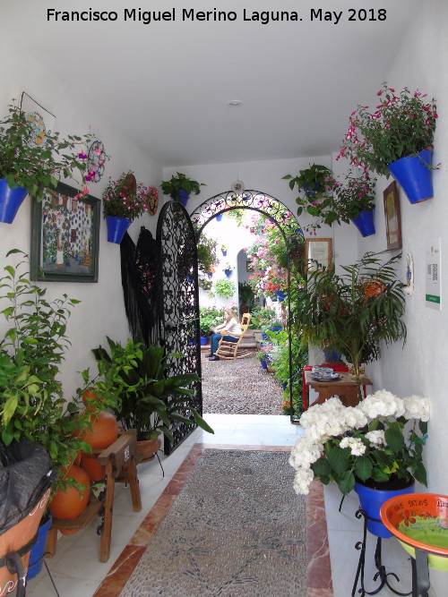 Casa de la Calle Alvar Rodr�guez n� 11 - Casa de la Calle Alvar Rodr�guez n� 11. Pasillo de entrada al patio