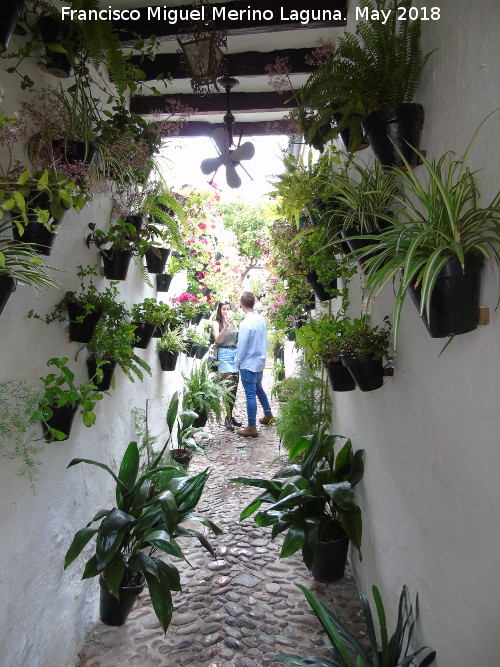 Casa de la Calle Pozanco n� 21 - Casa de la Calle Pozanco n� 21. 