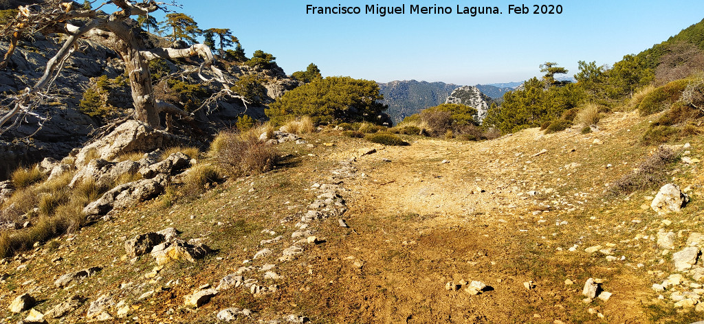 Camino del Poyo de las Palomas - Camino del Poyo de las Palomas. Restos del antiguo camino en su parte alta