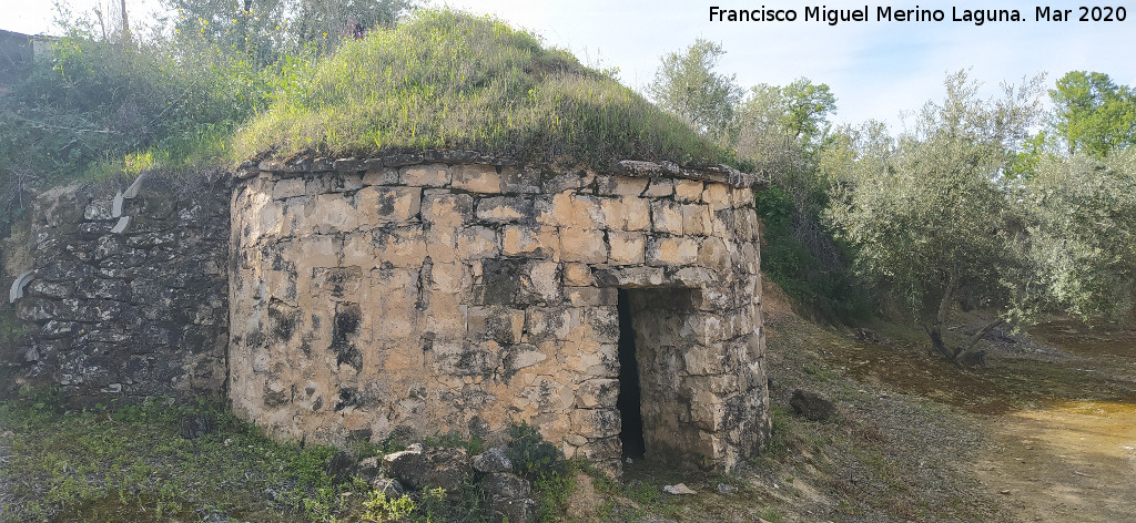 Caracol de la Ponderosa - Caracol de la Ponderosa. 