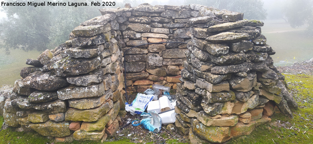 Caracol Contenedor - Caracol Contenedor. 