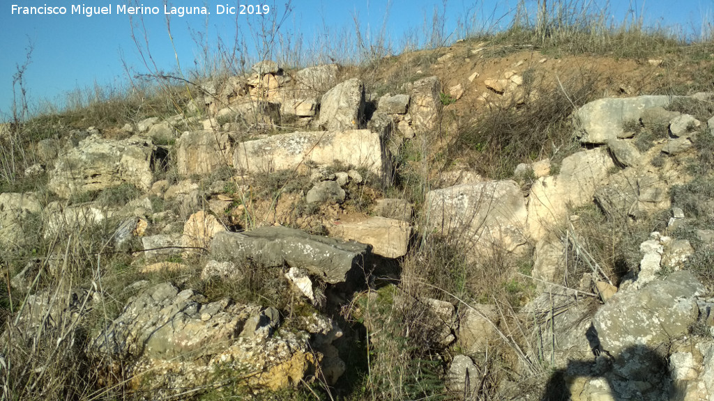 Castell�n de Caviedes - Castell�n de Caviedes. Restos de muralla