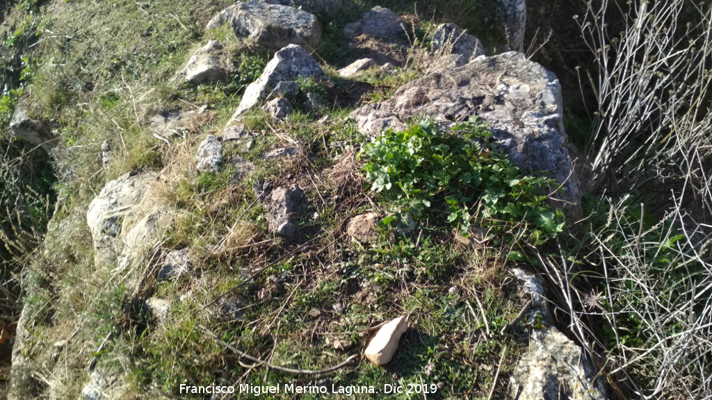 Castell�n de Caviedes - Castell�n de Caviedes. Grosor de muro