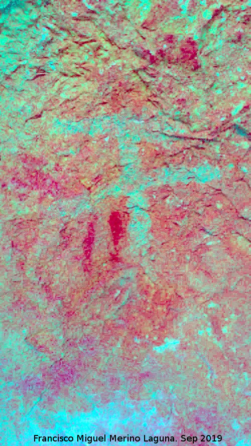 Pinturas rupestres del Abrigo de los Caones II - Pinturas rupestres del Abrigo de los Caones II. Tratada con Dstretch